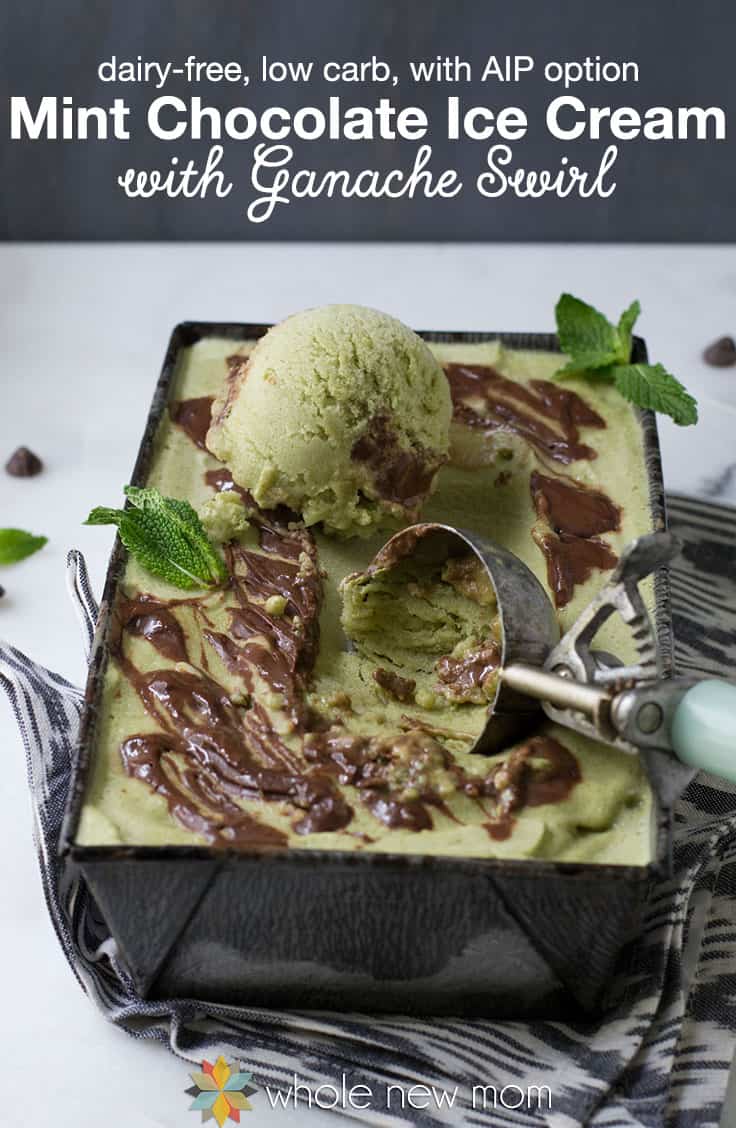 mint chocolate ice cream with ganache swirl – dairy free & low