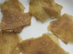 IMG_1882 Homemade Fruit Leather in a Dehydrator