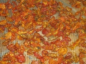 IMG_1885 Make Homemade Sun Dried Tomatoes in Dehydrator