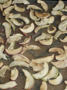 IMG_1904 Dried Apples in Dehydrator