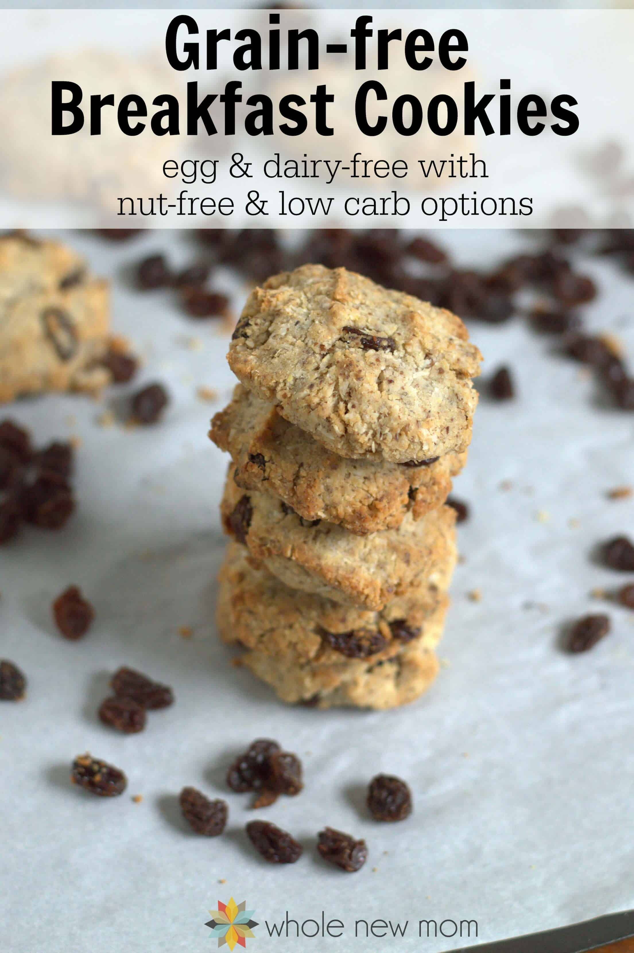 Paleo Breakfast Cookies Grain Free Cinnamon Breakfast Cookies