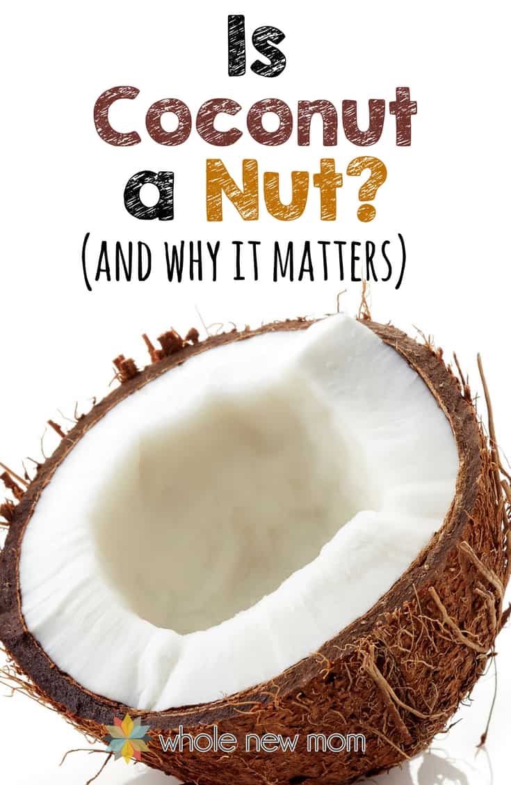 Is Coconut a Nut? {And Why Does It Matter?} Whole New Mom