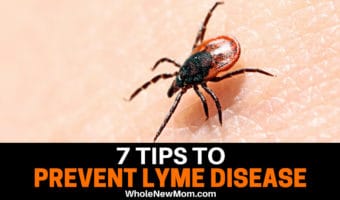 7 Tips to Prevent Lyme Disease